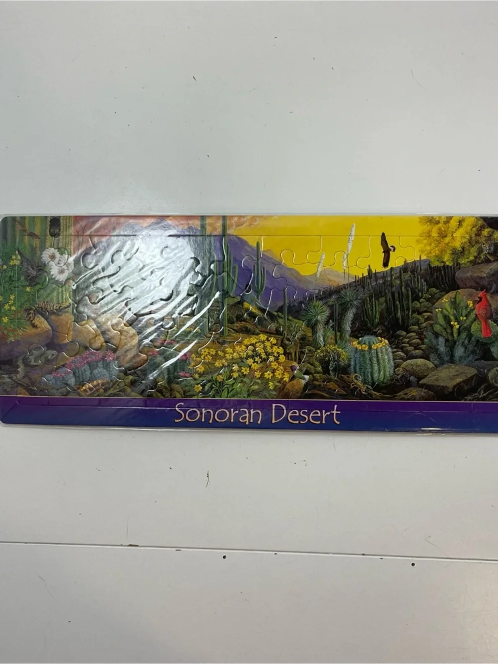 NEW Sonoran Desert Jigsaw Panoramic Puzzle 20x8” Made In Korea